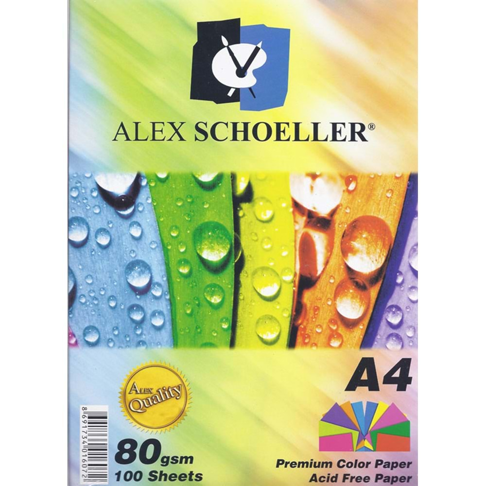 ALEX SCHOELLER 80 GR A4 100 LÜ FOTOKOPİ KAĞIDI (NET)