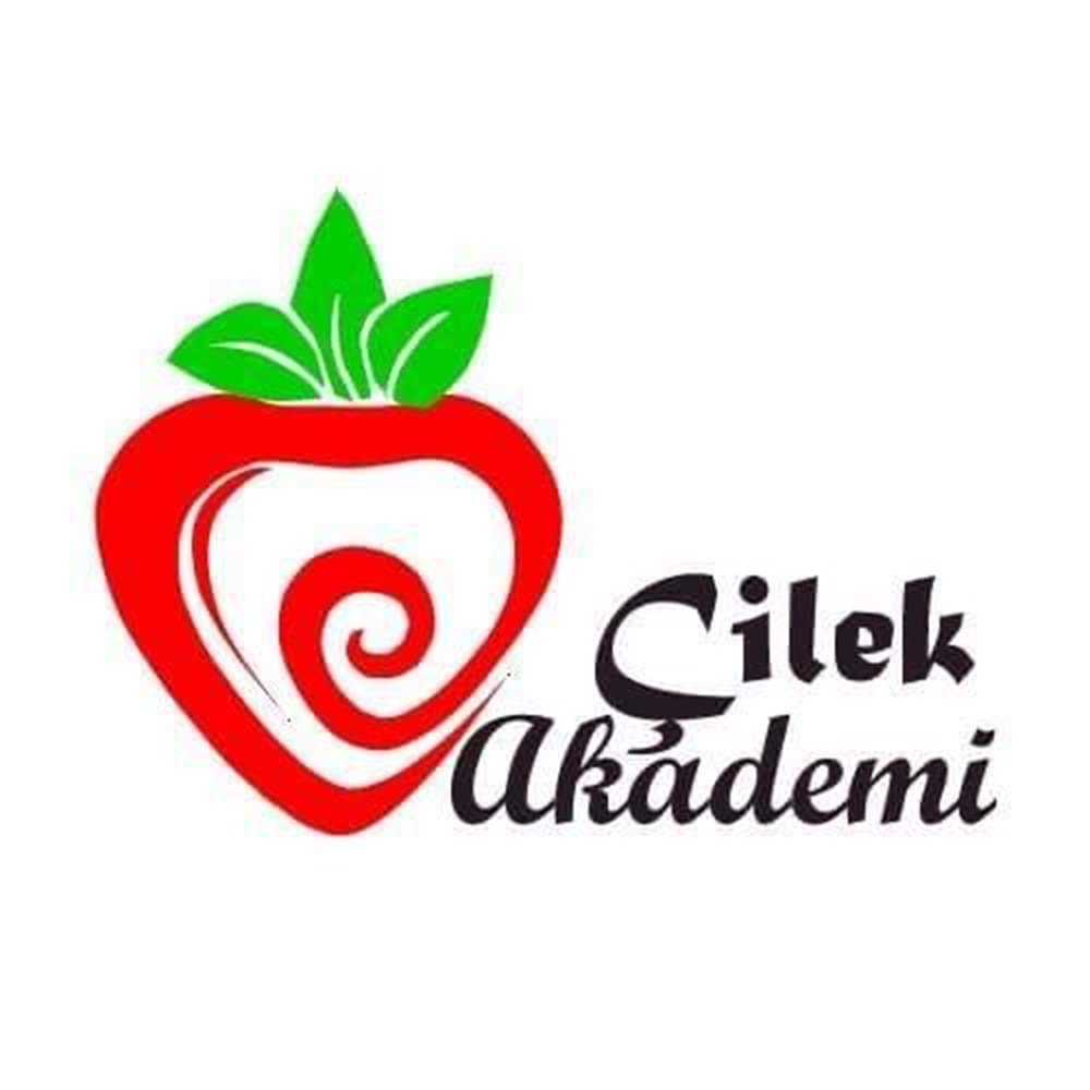 ÖZEL ÇİLEK AKADEMİ ANAOKULU EĞİTİM ve KIRTASİYE SETİ 3 YAŞ