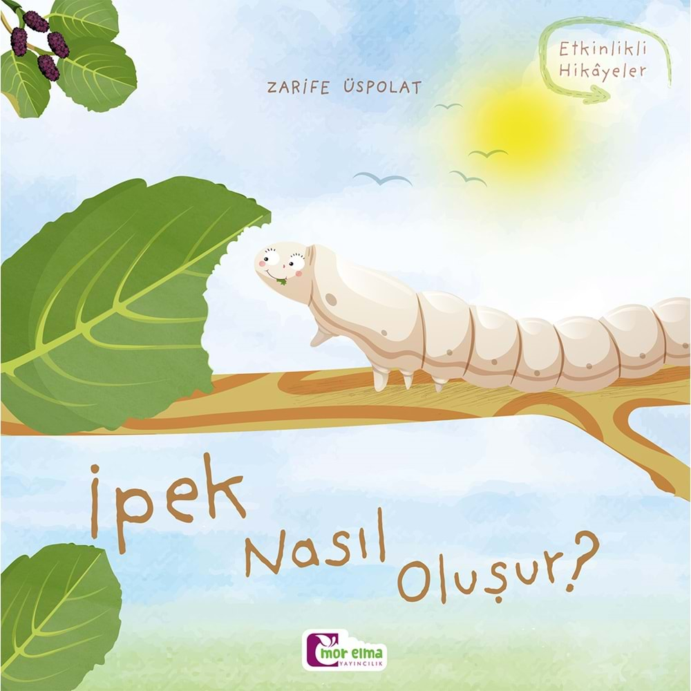 İpek Nasıl Oluşur?