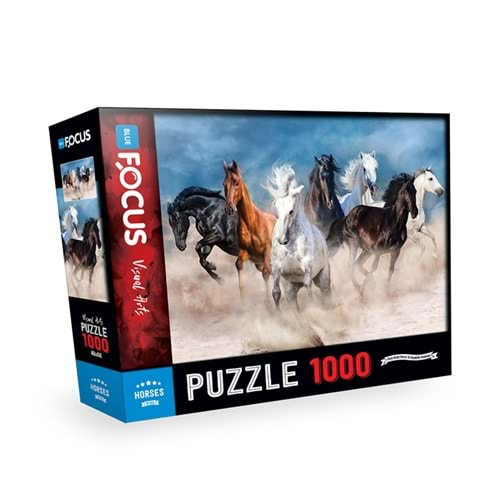 BLUE FOCUS PUZZLE 1000 PARÇA ATLAR